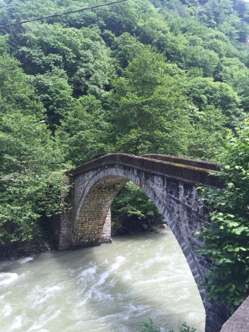 Tur fotoğrafı