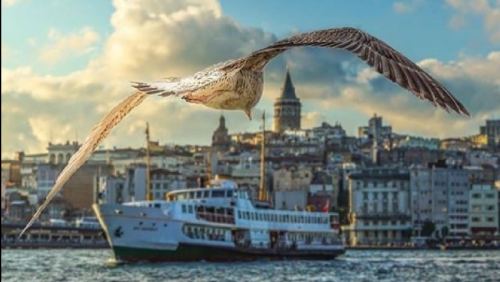 Tur fotoğrafı