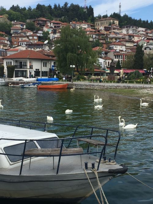 Tur fotoğrafı