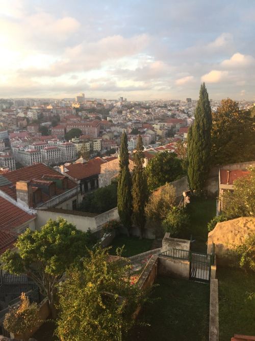 Tur fotoğrafı